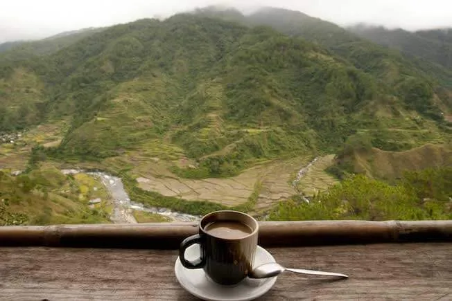 Kopi Luwak Philippinen