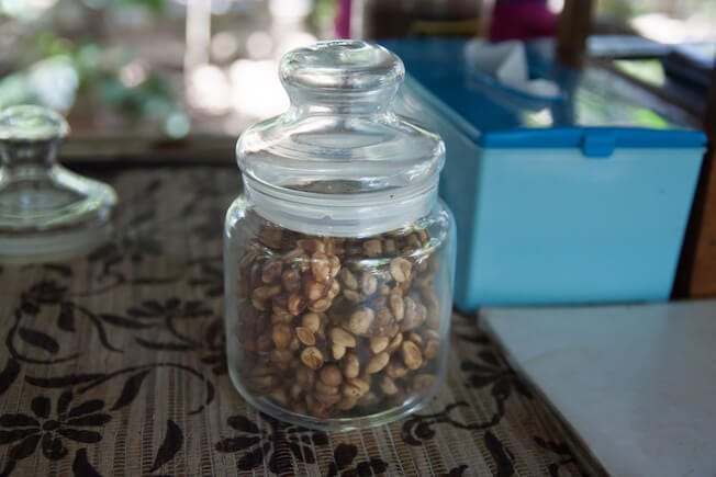 Wild Kopi Luwak