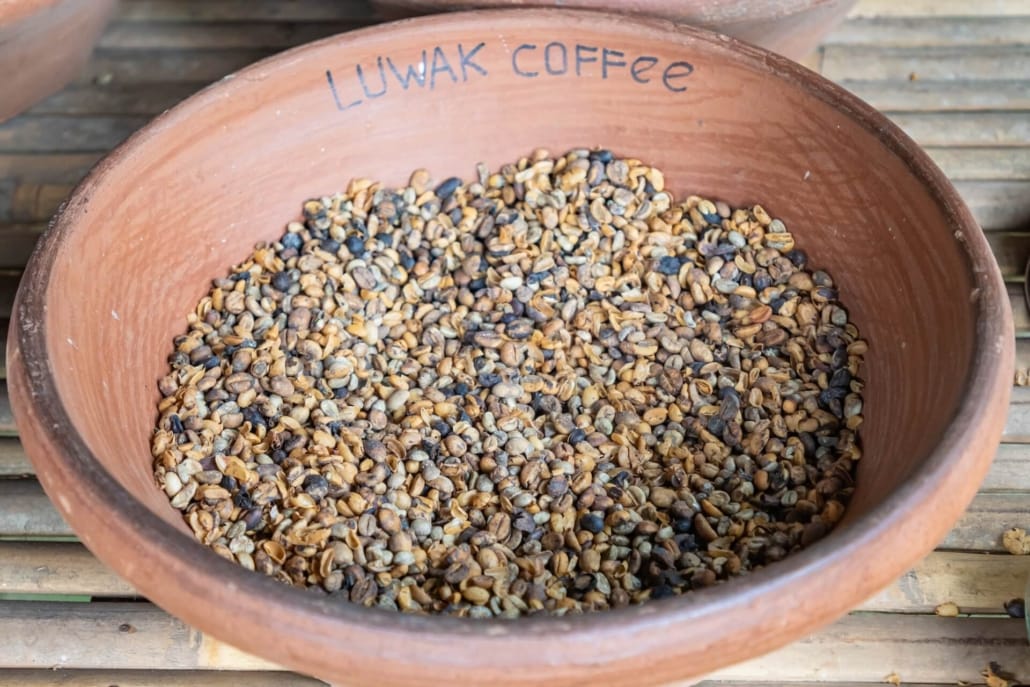 Teuerster Kaffee der Welt: Rohbohnen in Schalen auf einem Holztisch