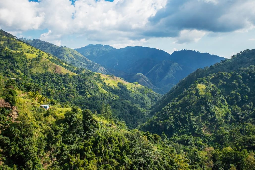 Blue Mountains in Jamaika, Anbaugebiet für Jamaica Blue Mountain